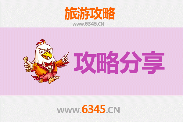广州天河至湄洲岛旅游攻略：跟团 vs 自由行深度解析